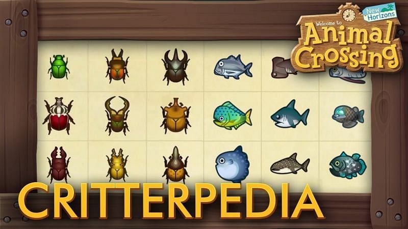 Players spend countless hours trying to catch rare critters (Image via BeardBear)